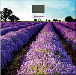 Весы HOMESTAR HS-6001G (4545)