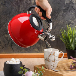 Чайник DANIKS QS-K-3 (332352) 3 л