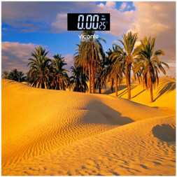 Напольные весы VICONTE VC-522-02