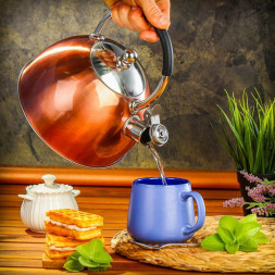 Чайник DANIKS MSY-072 (308676) 3 л