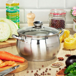 Кастрюля DANIKS SD-20 (204073) 3.9 л