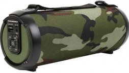 Портативные аудиосистемы SOUNDMAX SM-PS5020B (хаки)