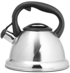 Чайник LARA LR00-55