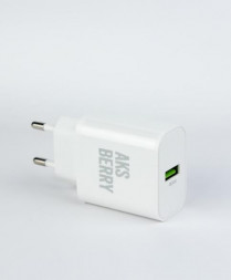 СЗУ AKSBERRY (6972969383057) T42 QC30 (белый)