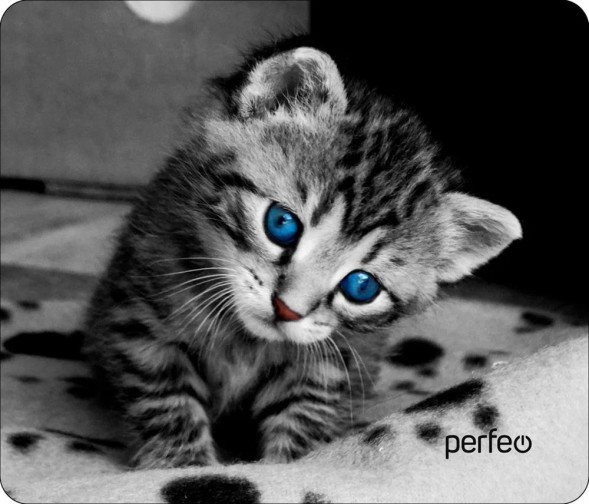 Коврик для компьютерной мыши PERFEO (PF_D0655) &quot;Cat&quot;