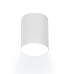 Светильники настенно-потолочные накладные RITTER 59978 4 Arton 12Вт/4200К