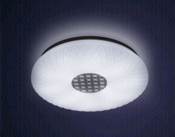Потолочный светильник RITTER 52250 8 &quot; STAR&quot; 48W