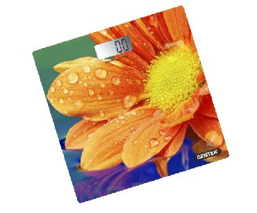 Весы CENTEK CT-2420 Гербера