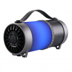 Акустика портативная DIALOG AP-1010 Progressive черный