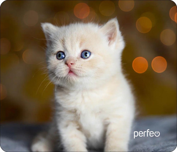 Коврик для компьютерной мыши PERFEO (PF_D0658) &quot;Cat&quot;