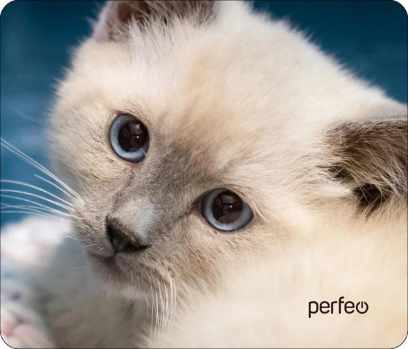 Коврик для компьютерной мыши PERFEO (PF_D0659) &quot;Cat&quot;