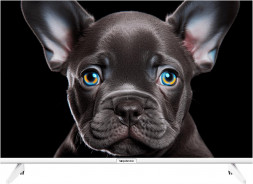 LED-Телевизор TOPDEVICE TDTV24CS08H_WE HD белый