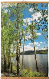 Электрообогреватель настенный ДОМАШНИЙ ОЧАГ БЕРЕЗЫ ТУ 3468-002-75669324-2015