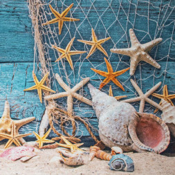 Штора САНАКС 01-84 Штора с рисунком морское дно, в ванную комнату, без колец - полиэстэр