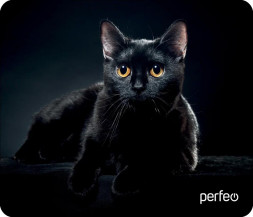 Коврик для компьютерной мыши PERFEO (PF_D0665) "Cat"