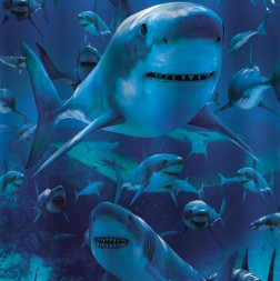 Штора для ванной BRIMIX 02-03 Шторка в ванную комнату фотопечать АКУЛА