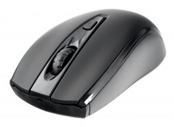 мышь GEMBIRD (18730) MUSW-500