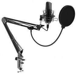 Микрофон RITMIX RDM-169 черный