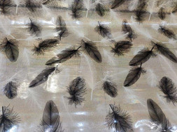 Клеёнка на неткан. основе LAVENIR TT-9003A