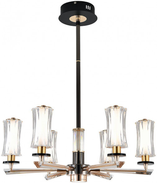 INDIGO 13038/6R Black (V000185L)