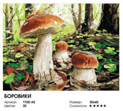 Картина по номерам на холсте БЕЛОСНЕЖКА 1120-AS Боровики