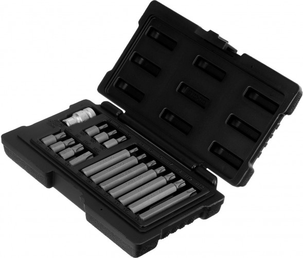 Набор бит STELS Набор бит TORX, хвостовик-шестигранник, 10 мм, CrV, 15 предметов 11315 STELS Набор бит TORX, хвостовик-шестигранник, 10 мм, CrV, 15 предметов 11315