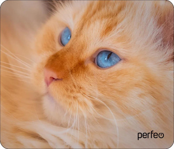 Коврик для компьютерной мыши PERFEO (PF_D0667) &quot;Cat&quot;