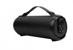 Акустика портативная SOUNDMAX SM-PS5020B(черный)