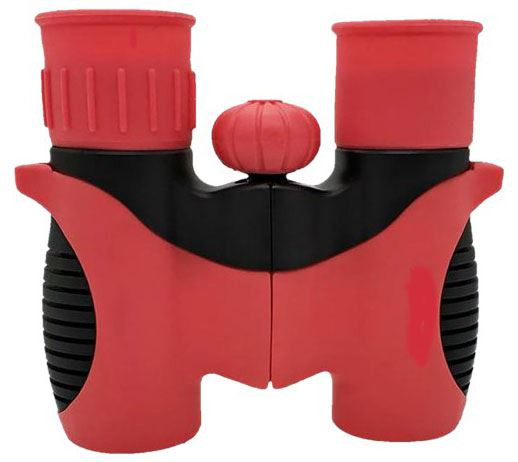 Бинокль LEVENHUK LabZZ B2 Red Berry 79569