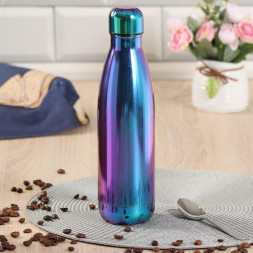 Термобутылка DANIKS SL-50ZL7-1 (396562)