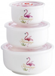 Hабор керамических пищевых контейнеров IRIT IRH-326C