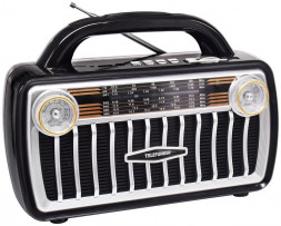 Радиоприемник TELEFUNKEN TF-1695UB(черный с серебром)