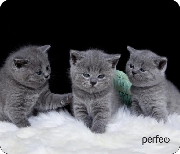 Коврик для компьютерной мыши PERFEO (PF_D0670) &quot;Cat&quot;