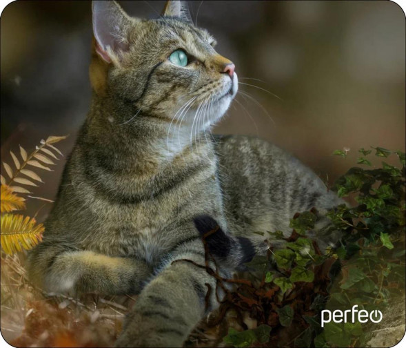 Коврик для компьютерной мыши PERFEO (PF_D0671) &quot;Cat&quot;