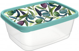 IDILAND Delicate для продуктов прямоугольный 0,5л с декором (зеленый) 221159218/05