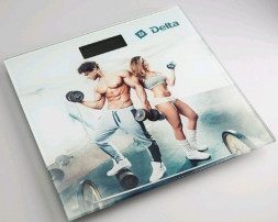 Весы DELTA D-9304