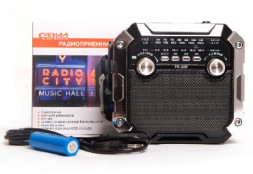 РАДИОПРИЕМНИКИ СИГНАЛ РП-228 УКВ 64-108МГц, 220V, акб 1200mA/h, USB/microSD/AUX, светодиодный фонарь/дискосвет