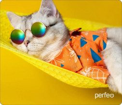 Коврик для компьютерной мыши PERFEO (PF_D0640) &quot;Cat&quot;