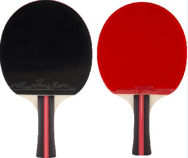 Ракетка ЭКОС Ракетка для игры в пинг-понг PPR-A 323139