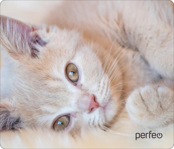 Коврик для компьютерной мыши PERFEO (PF_D0641) &quot;Cat&quot;
