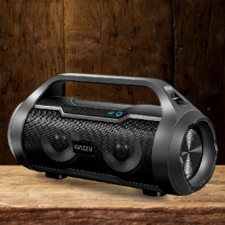 Акустика портативная GINZZU GM-984G