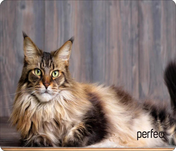 Коврик для компьютерной мыши PERFEO (PF_D0642) &quot;Cat&quot;