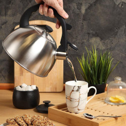 Чайник DANIKS MSY-066 (308666) 3 л