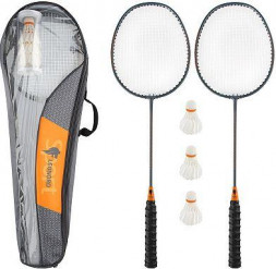 Набор для бадминтона LEONORD Набор для бадминтона (2 ракетки, 3 воланчика) 323142