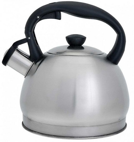 Чайник со свистком WEBBER BE-0578 Чайник со свистком 2л