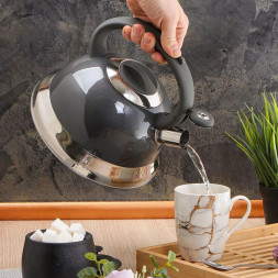 Чайник DANIKS M-015 (296804) 2.8 л