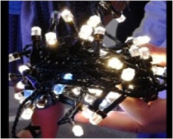 Гирлянда FUNRAY &quot;Рисовая&quot; SE-RICE-880WW