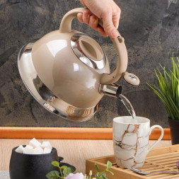 Чайник DANIKS M-016 (296806) 2.8 л