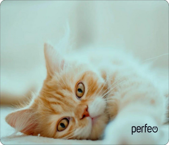 Коврик для компьютерной мыши PERFEO (PF_D0649) &quot;Cat&quot;