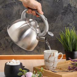 Чайник DANIKS MSY-065 (308665) 2.8 л